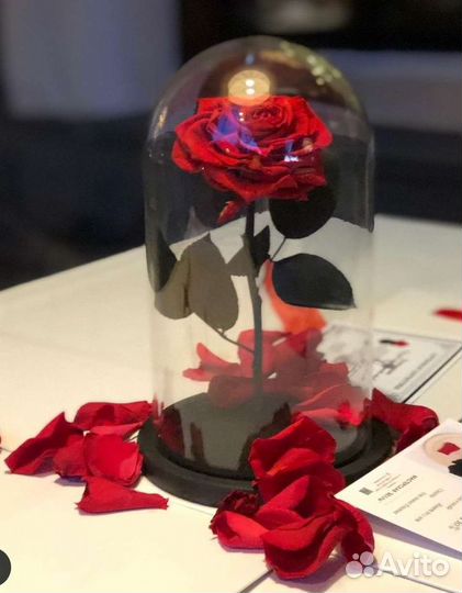 Роза в колбе (живет 5 лет) + подсветка