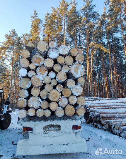 Пиловочник Лес Кругляк