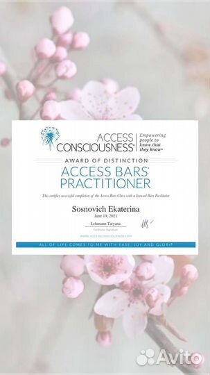 Access Bars&Facelift