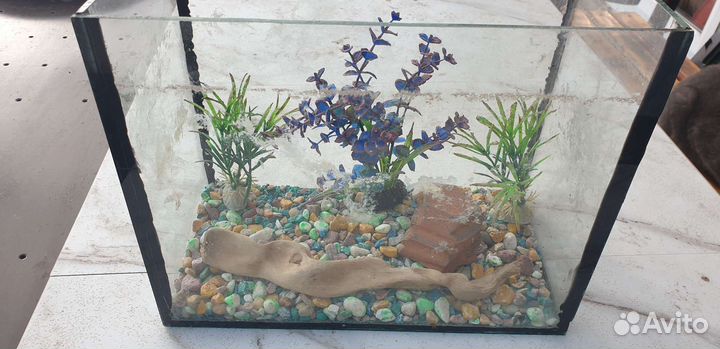 Аквариум