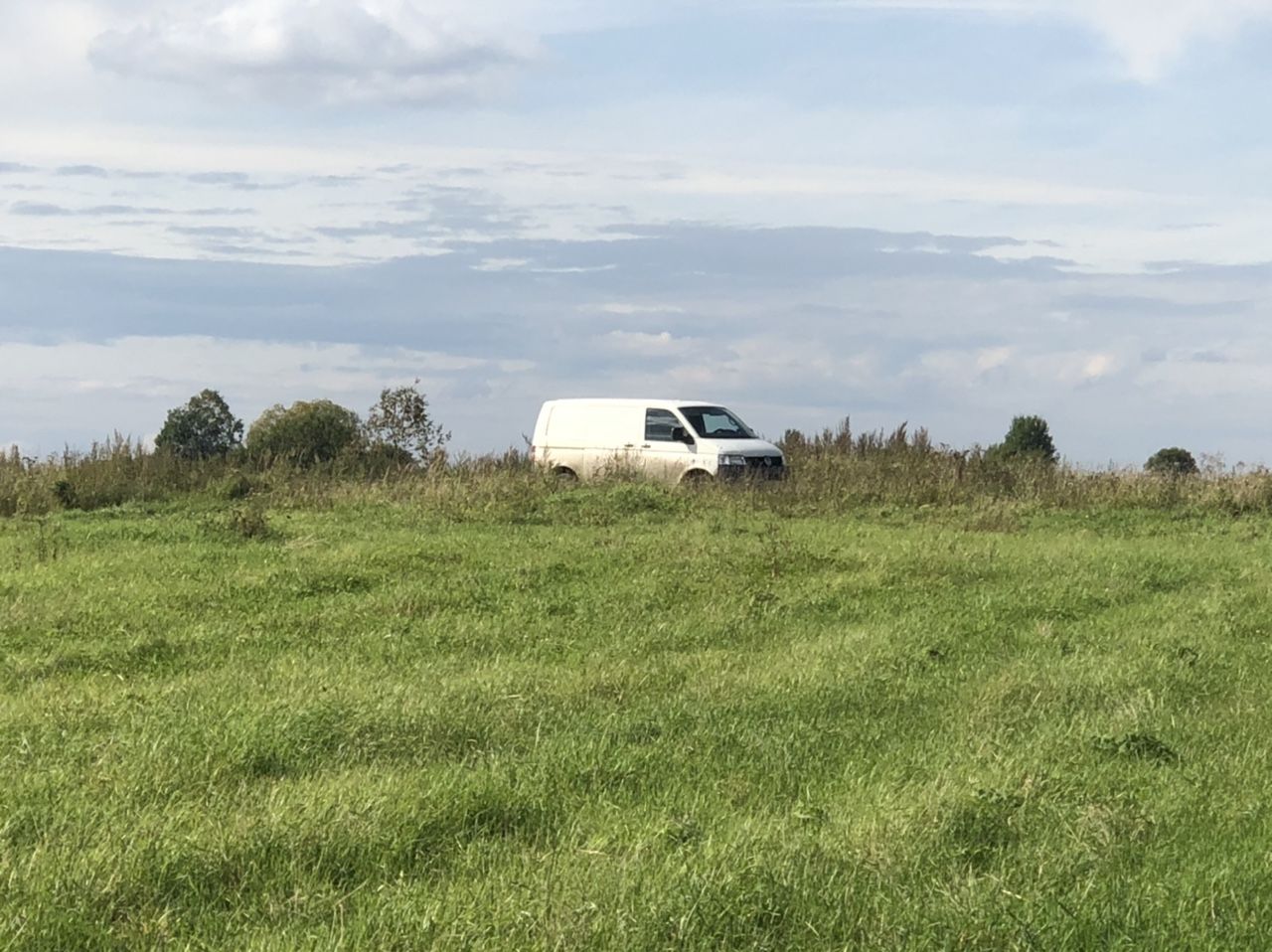 Volkswagen Transporter: фото владельца