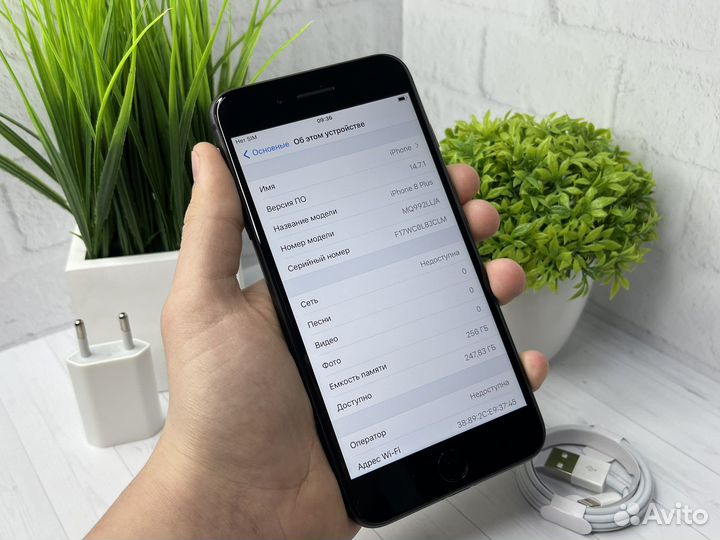 iPhone 8 Plus, 256 ГБ