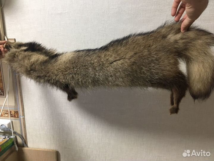 Шкура енота