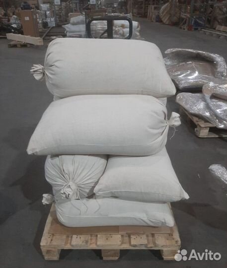 Семена ели обыкновенной