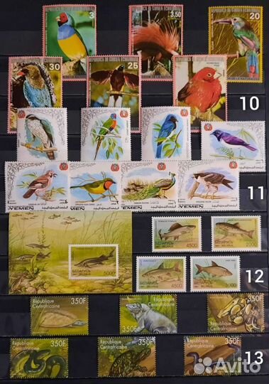 Коллекция марок фауна 60-90х 12 (чистые)