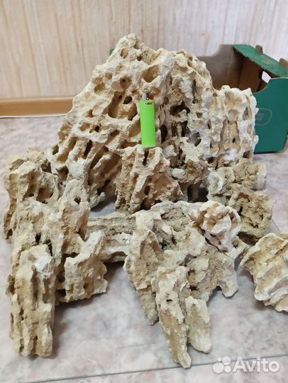 Песчаник меотис. Дрифт Вуд