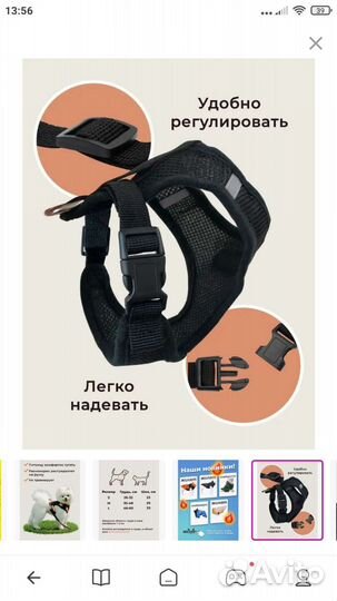 Шлейка и поводок для собак и кошек