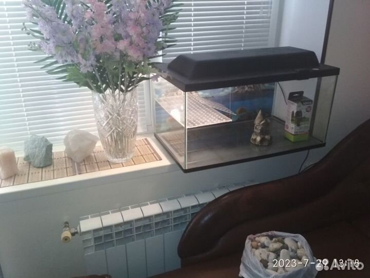 100л акватеррариум аквариум черепашник