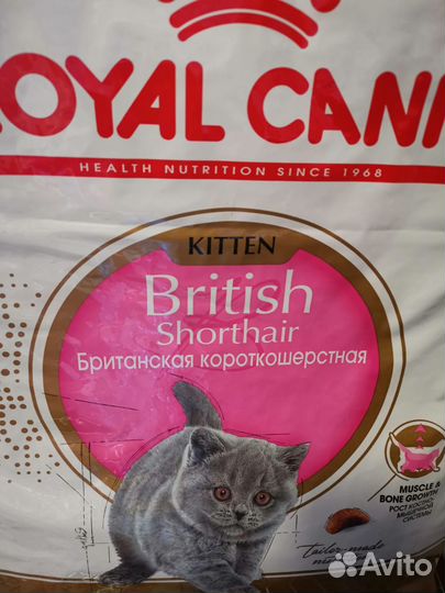Корм royal canin 2 кг для британских котят