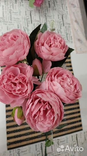 Интерьерные цветы