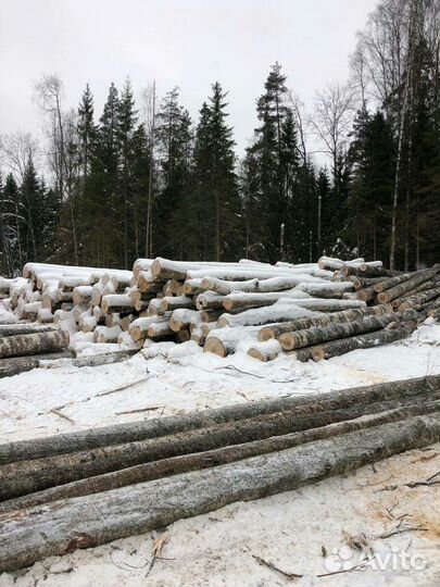 Дрова берёзовые 6 метровые
