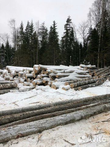 Дрова берёзовые 6 метровые