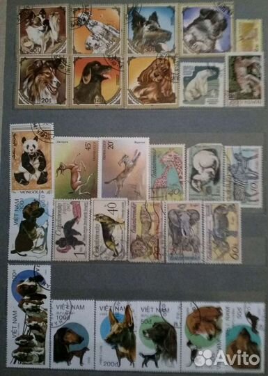 Марки фауна, обновление 08.02