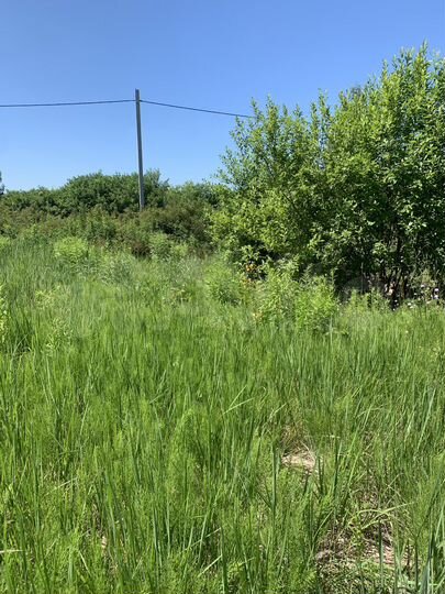 Участок 6,5 сот. (СНТ, ДНП)