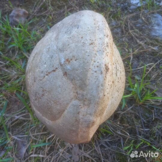 Камень редкий