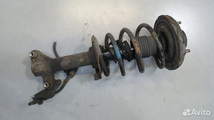 Амортизатор подвески Nissan Primera P12, 2006