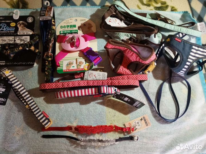 Аксессуары для собак и кошек