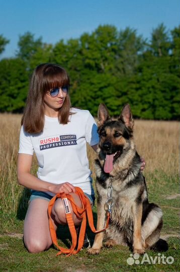 Фотосессии для владельцев собак