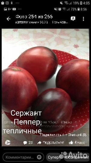 Семена сортовых томатов