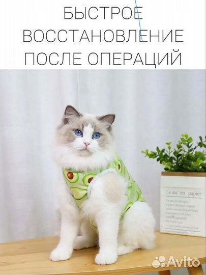 Попона для кошек и собак