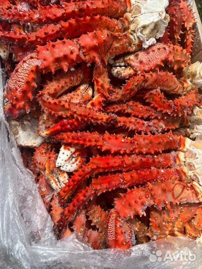 Рыба и морепродукты