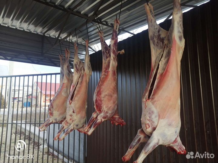 Домашнее мясо