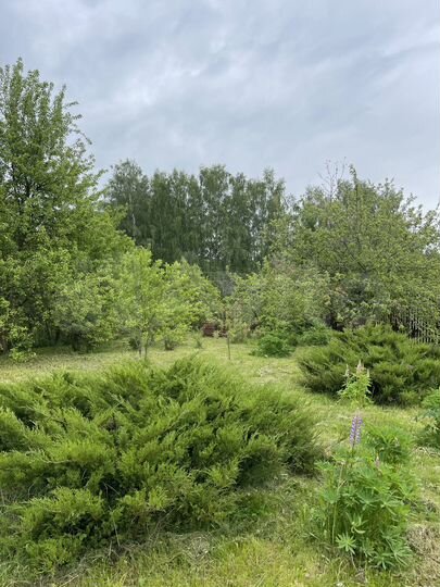 Дача 47 м² на участке 12 сот.