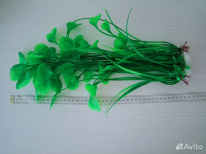 Для аквариума