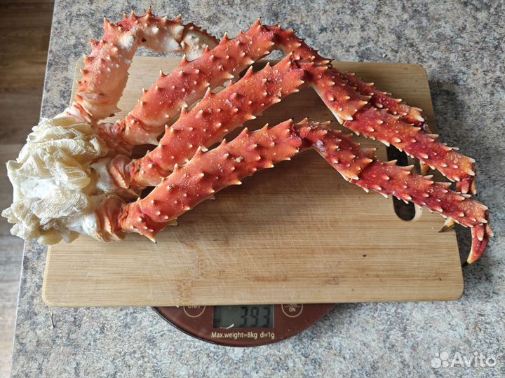 Камчатский краб вылов от 26 авг