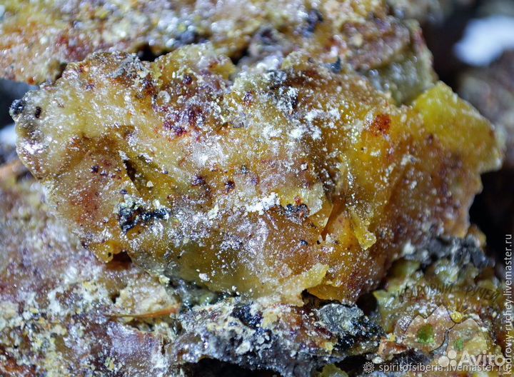 Смола, сосновая живица, неочищенная