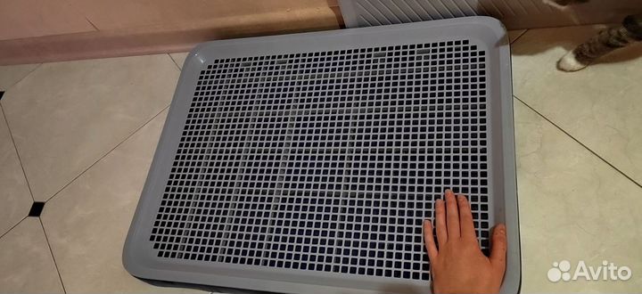 Лоток для собак L, 65х49 см