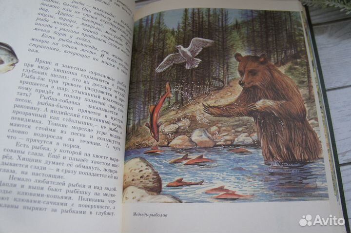 Покажите мне их Сладков 1994 г