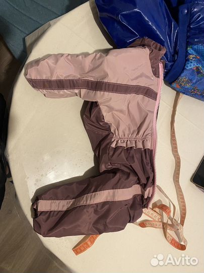 Одежда для собак