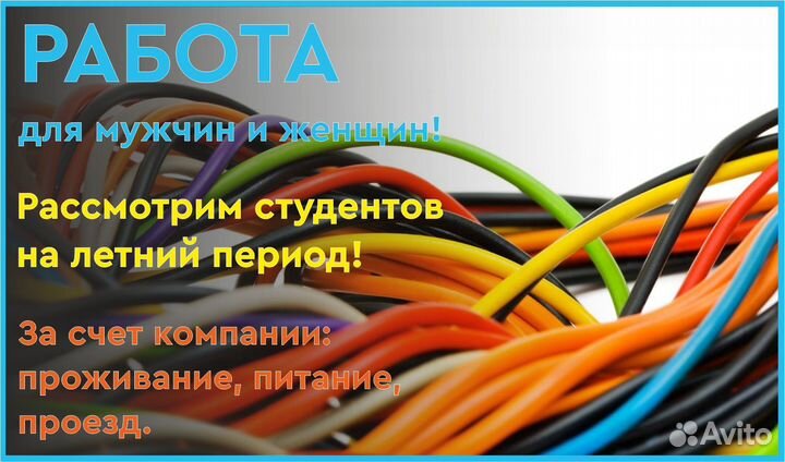 Сборщик проводов без опыта.Вахта