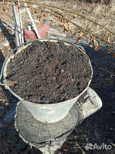 Зола древесная