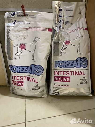 Forza10 intestinal active