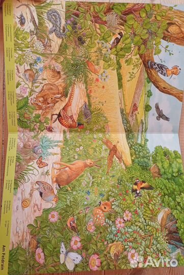 Книга на английском языке