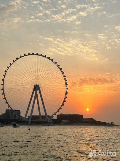 Байер Дубай