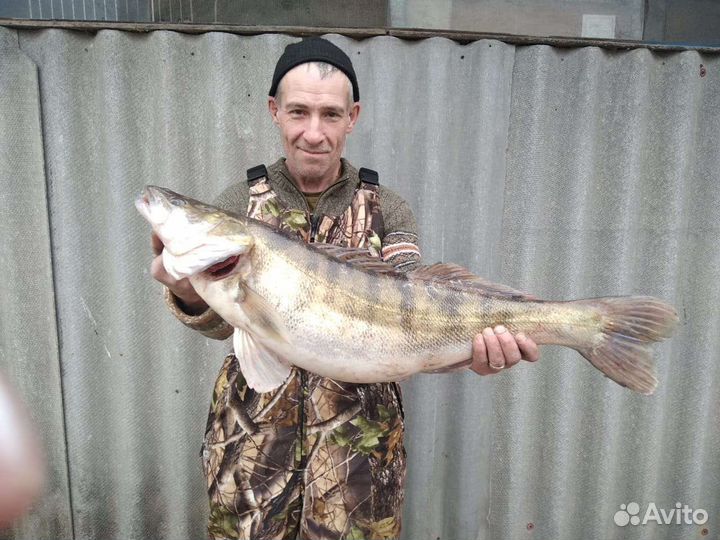 Рыбалка и охота