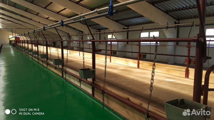 Молокопроводы, стойло, поение для крс