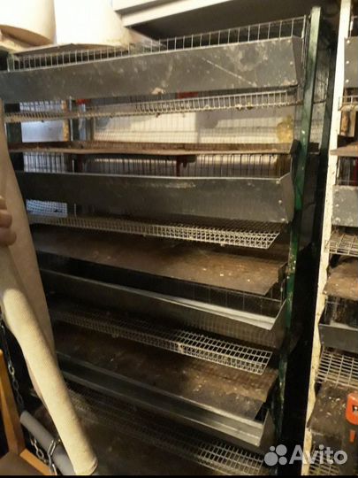 Батареи клеточные (перепела)