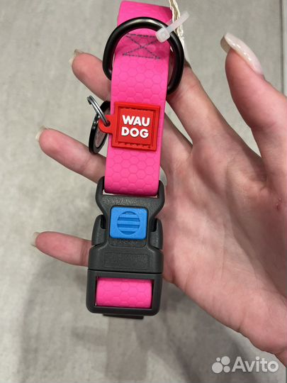 Ошейник для собак Wau Dog