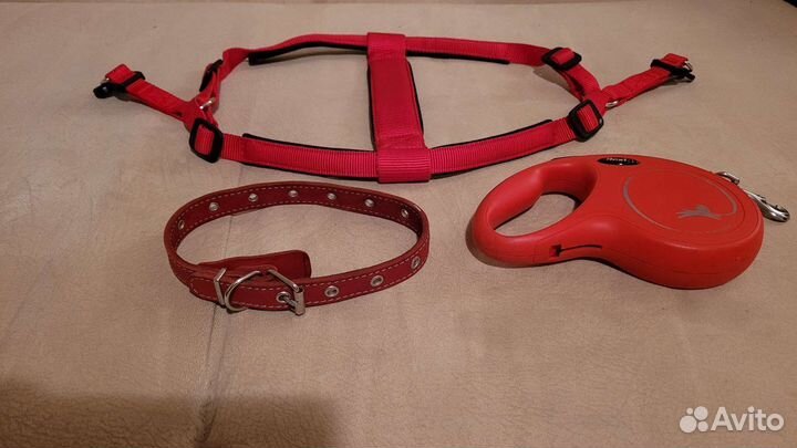 Шлейка, намордник, ошейник, пакеты для уборки