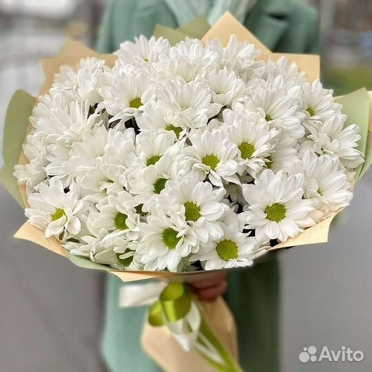 Хризантема Букеты доставка цветов
