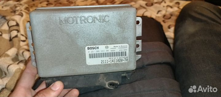 Эбу мозги