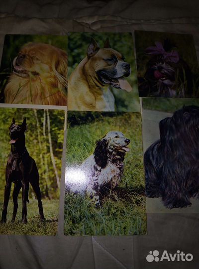 Наборы открыток СССР