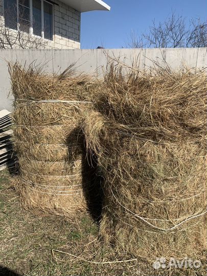 Сено в тюках