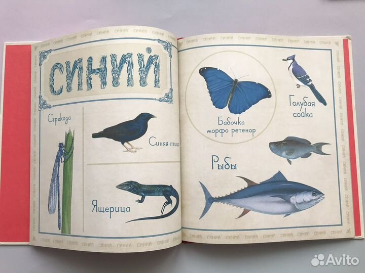 Живые цвета, Живые противоположности,детские книги