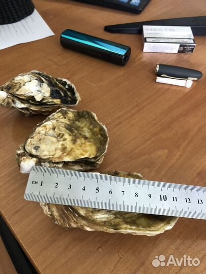 Крымские морепродукты