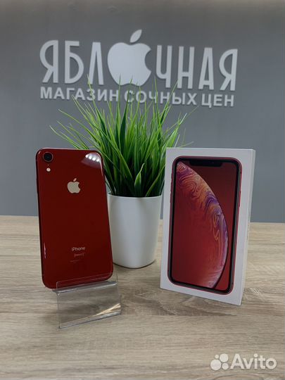 iPhone Xr, 256 ГБ